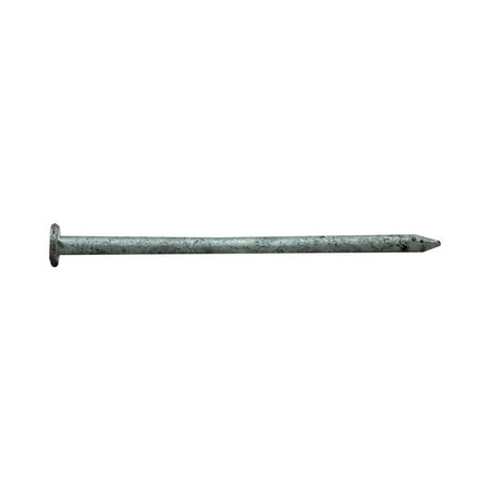 PRO-FIT Common Nail, 3-1/4 in L, 12D, Hot Dipped Galvanized Finish 0054188